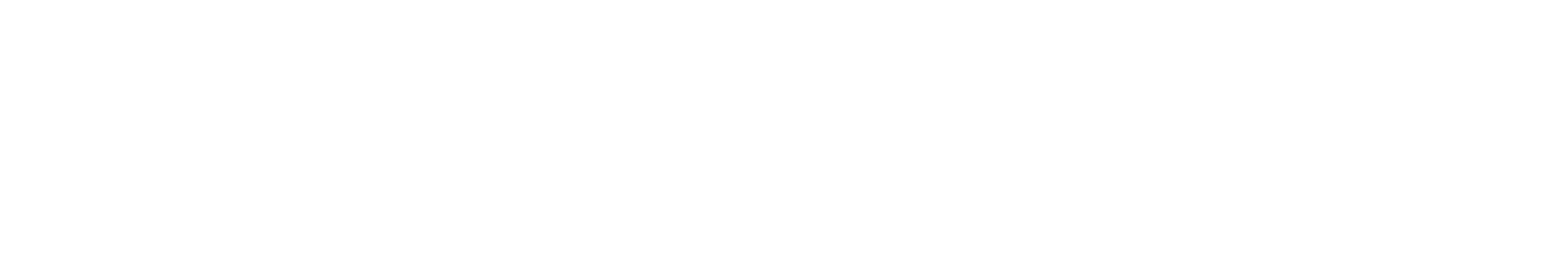 protectONE